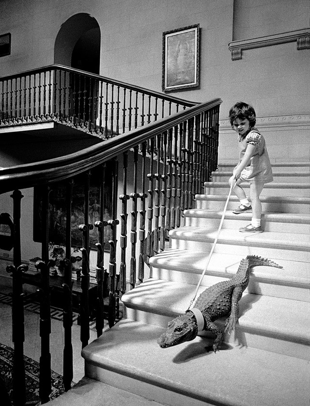 Descending a Staircase, 1976
