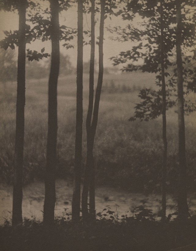 Landscape [Paisaje], 1902