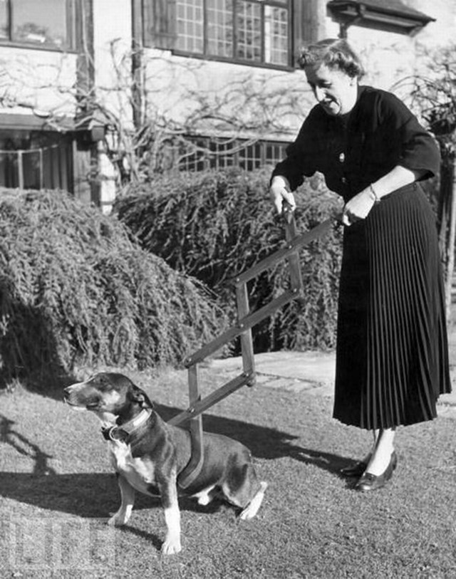 Agatha Christie and her dog