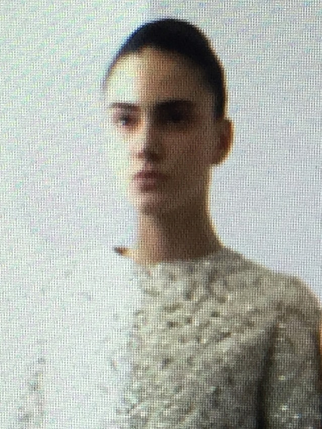 Christian Dior Spring 2015 Couture