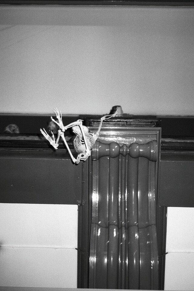 The Grant Museum of Zoology
