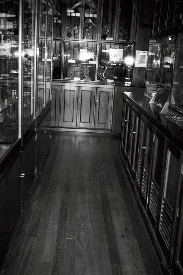 The Grant Museum of Zoology
