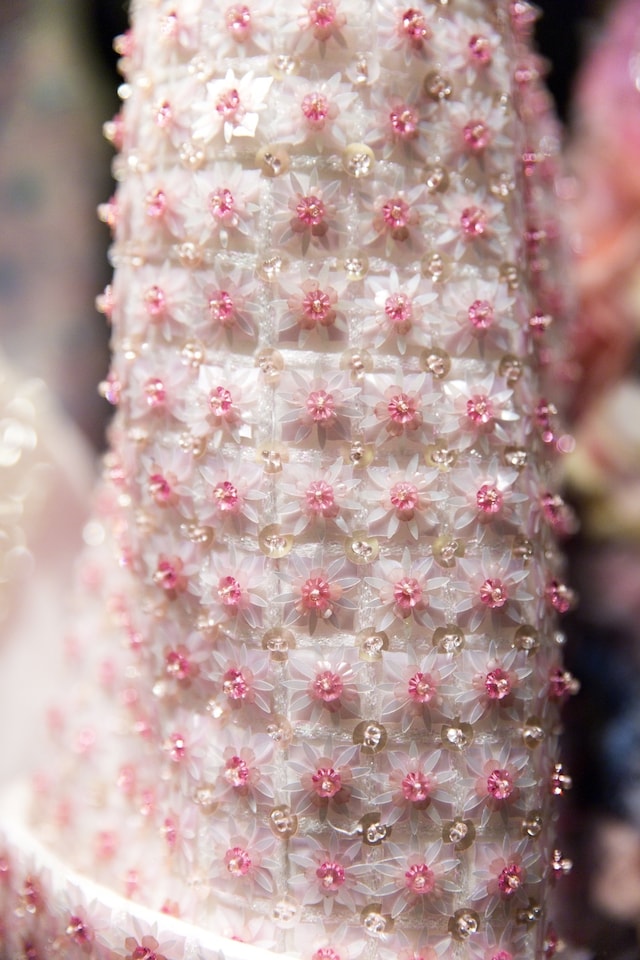 Close-ups: Chanel Spring 2015 Couture