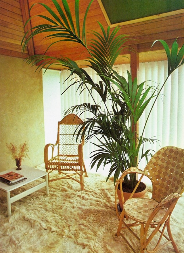 Success With Houseplants, 1979