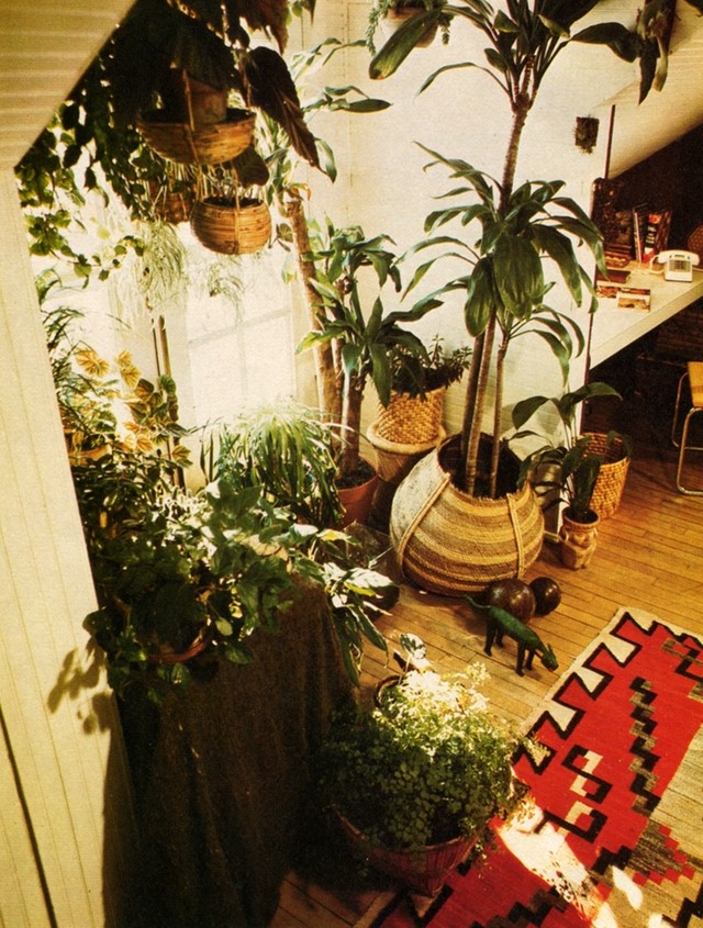 Favorite Houseplants, 1976