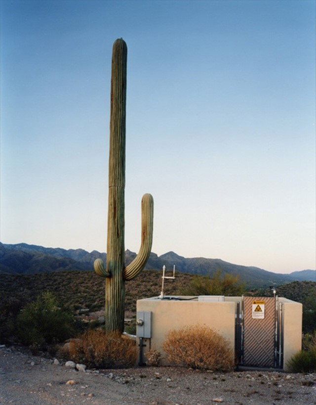Robert Voit, Scottsdale, Arizona, 2006