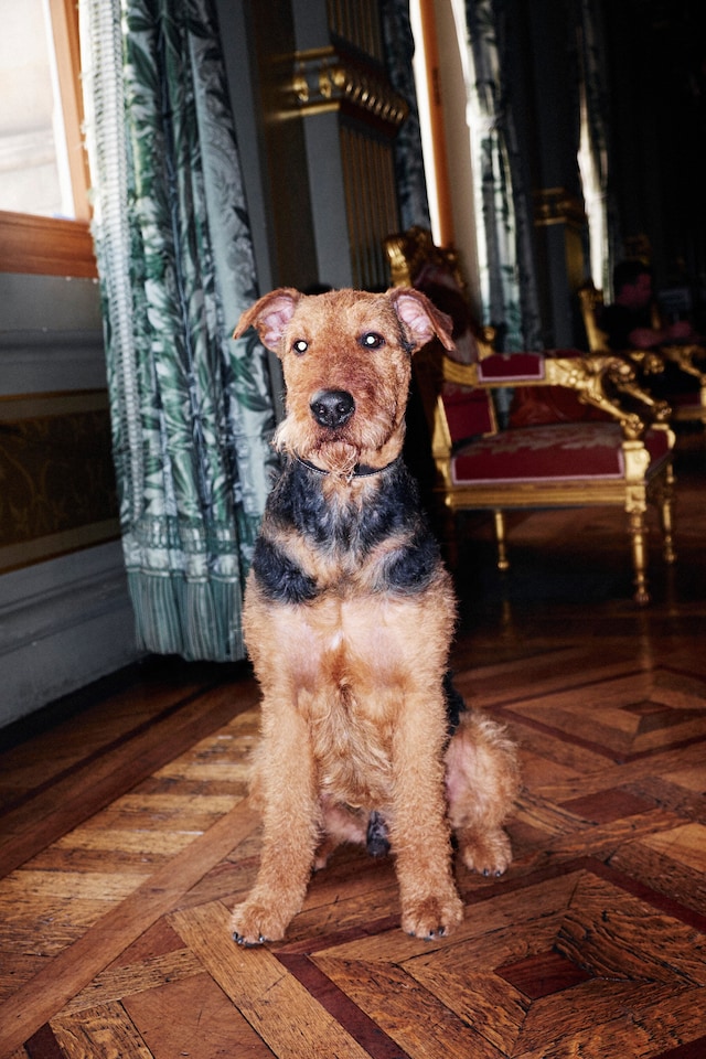 Dries Van Noten A/W15