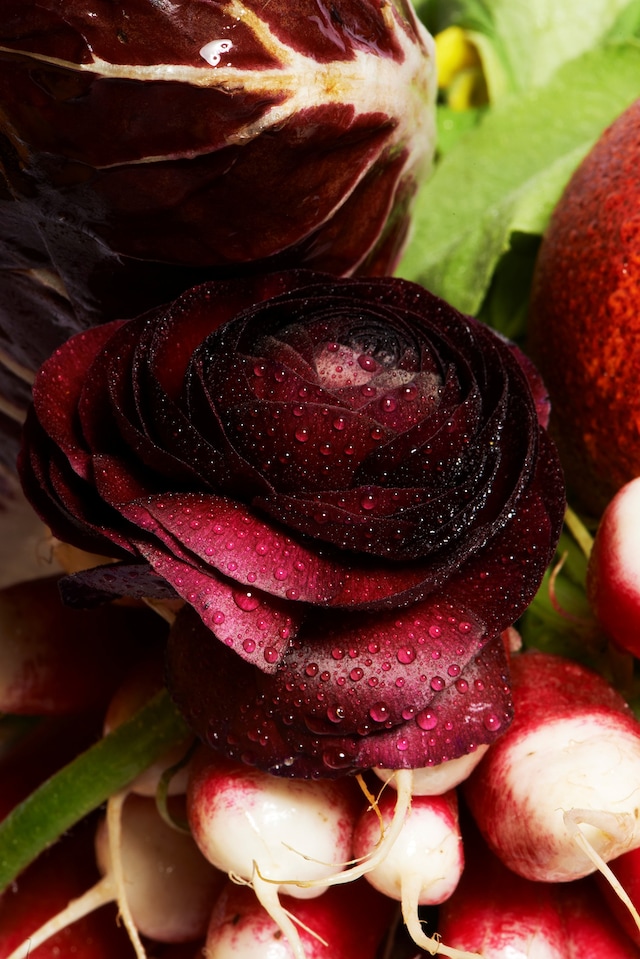 Vegetable composition