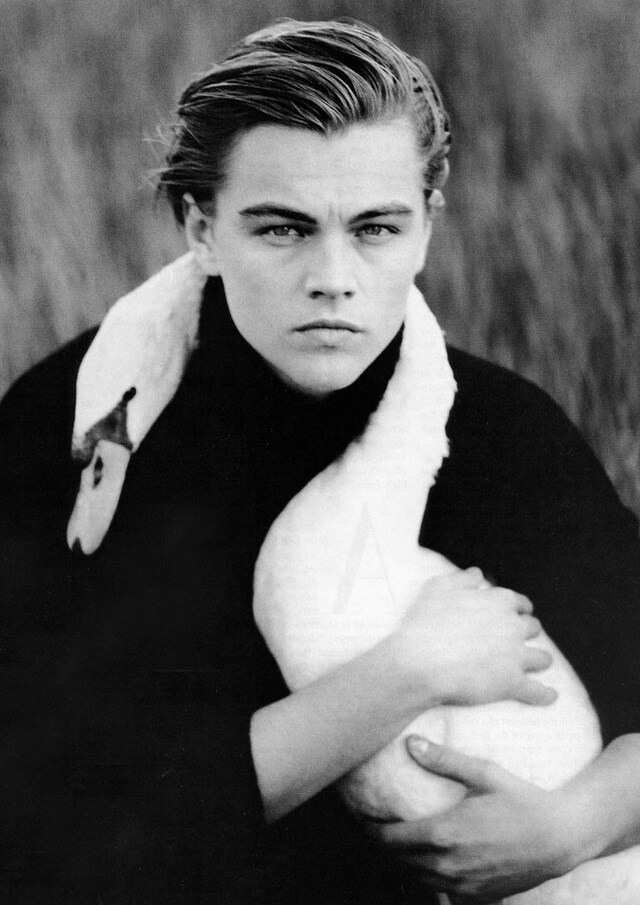 Leonardo DiCaprio with a Swan