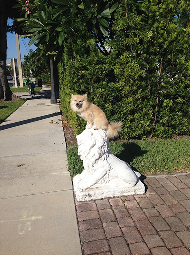 Tomas Werner GOST lion statue
