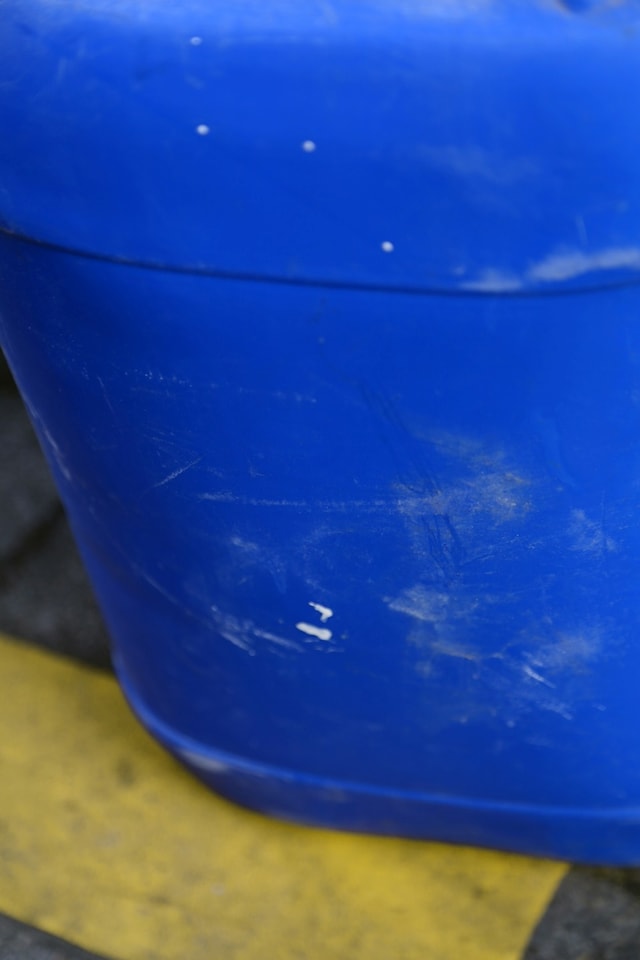 Caroline de Maigret, Being Sonia Delaunay (2015)