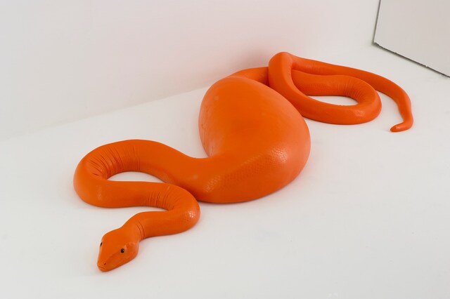 Carsten H&#246;ller &amp; Yves Gaumetou Snake, 2013 Bi-Res