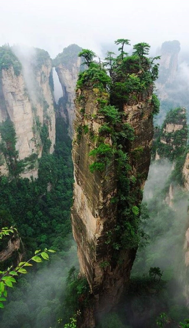 les-monts-de-zhangjiajie-en-chine