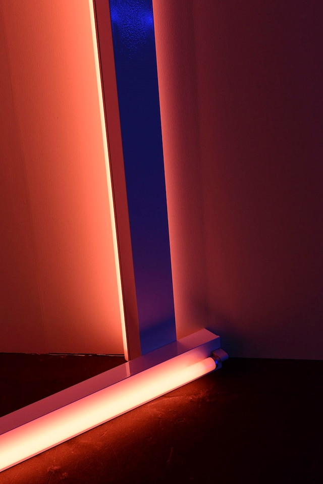 Dan Flavin