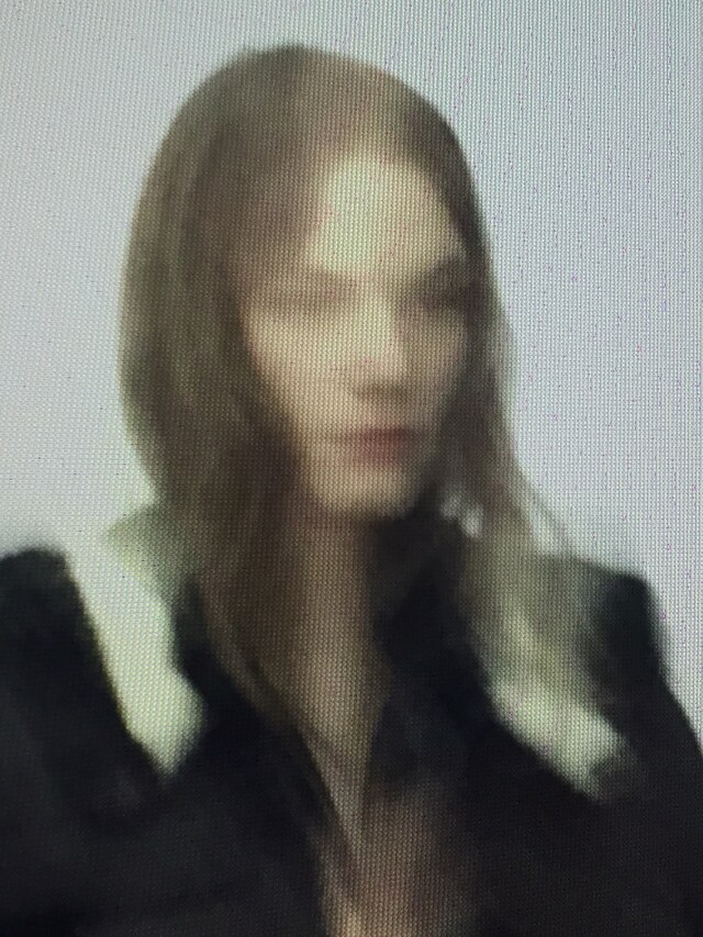 Christian Dior Haute Couture A/W15