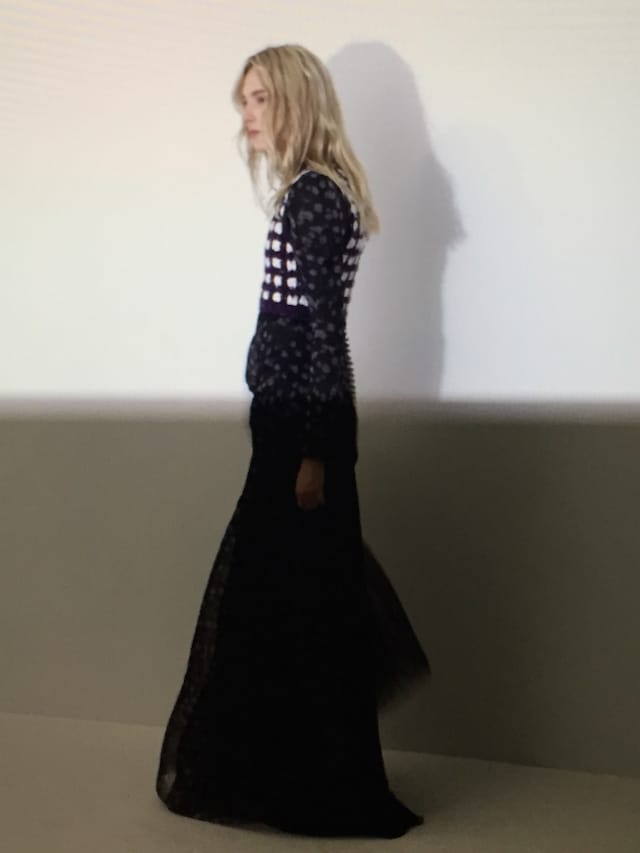 Christian Dior Haute Couture A/W15