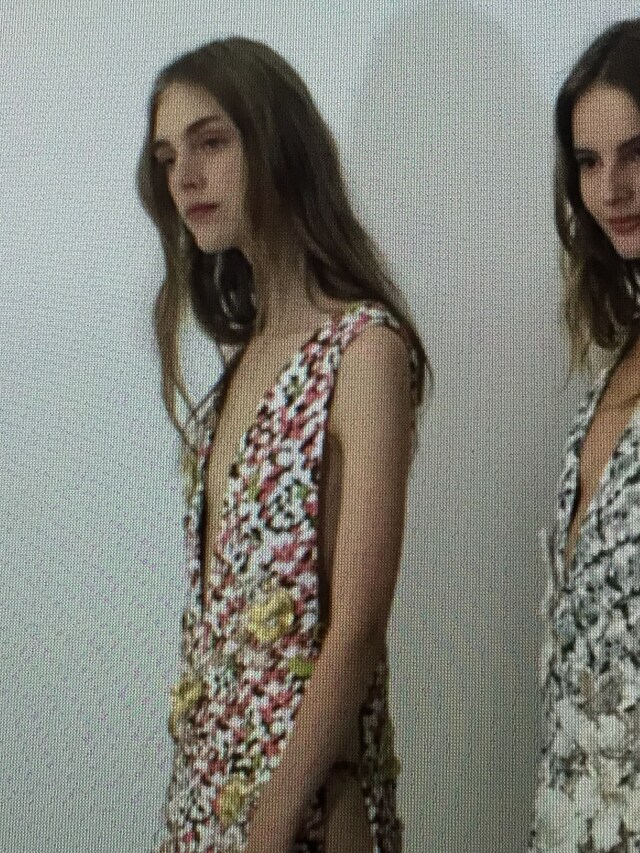 Christian Dior Haute Couture A/W15