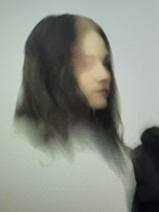 Christian Dior Haute Couture A/W15