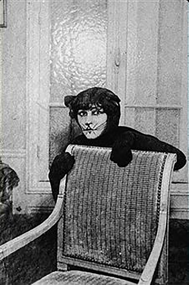 Colette Cat2