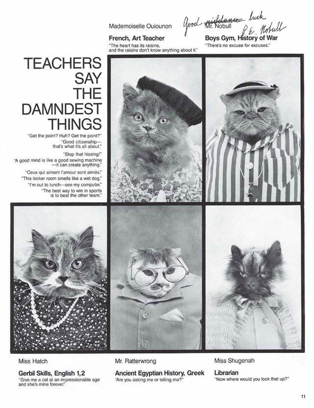 Cat High: The Yearbook