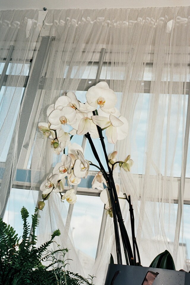 Richard Malone S/S16