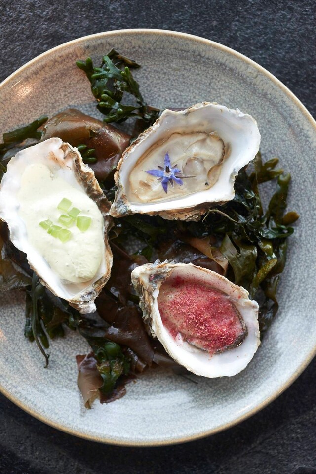 Craft London Oysters With Rhubarb, Borage and Cucu