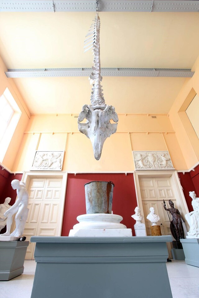 Dorothy-Cross,-Whale,-2011---b