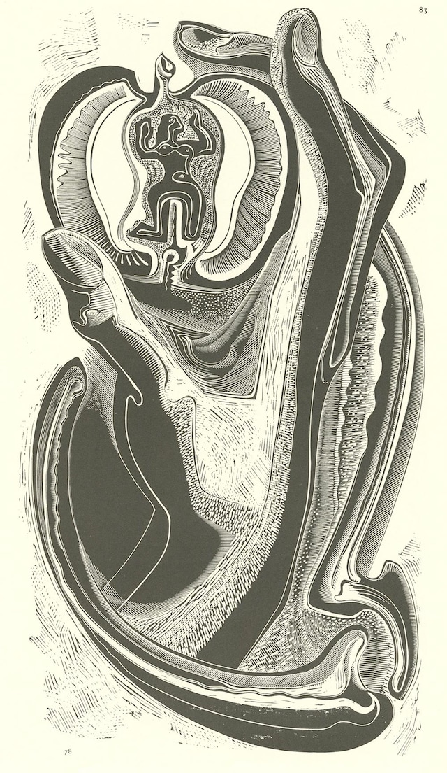 Gertrude-Hermes,-Adam-&amp;-Eve,-1933,-wood-engraving,