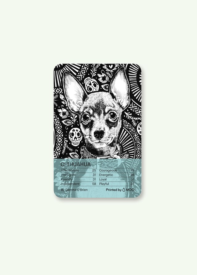 Four &amp; Sons x Moo x Ace Hotel Playing Cards