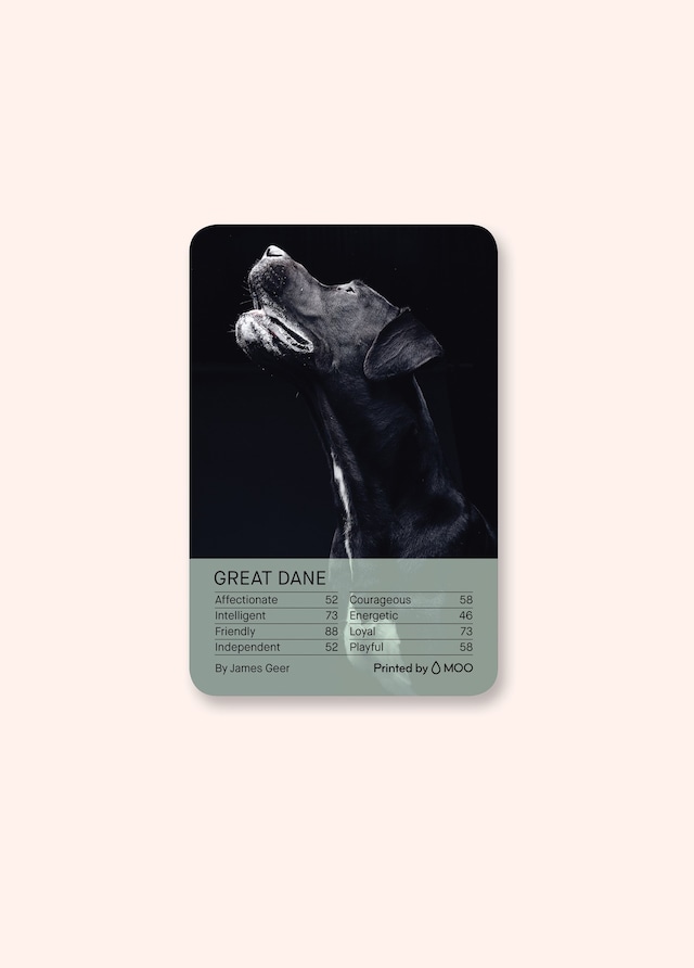 Four &amp; Sons x Moo x Ace Hotel Playing Cards