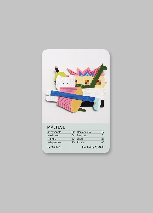 Four &amp; Sons x Moo x Ace Hotel Playing Cards