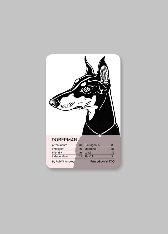 Four &amp; Sons x Moo x Ace Hotel Playing Cards