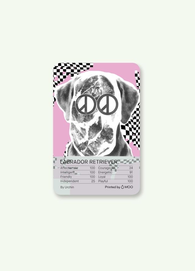 Four &amp; Sons x Moo x Ace Hotel Playing Cards