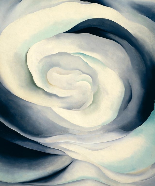 O&#39;Keeffe-Abstraction-White-Rose
