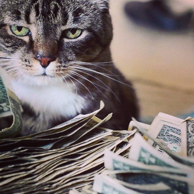 Marvelling at the Moneyed World of Cashcats | AnOther