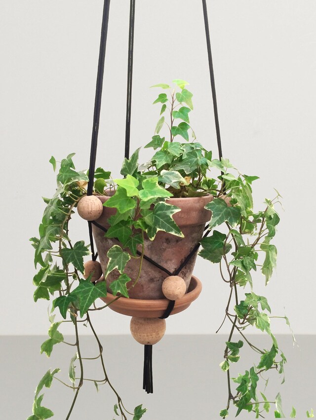 ZET_ClerkenwellLondon_CDW2016_KiaUtzonFrank_Plant-
