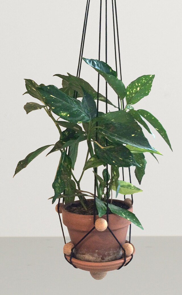 ZET_ClerkenwellLondon_CDW2016_KiaUtzonFrank_Plant-