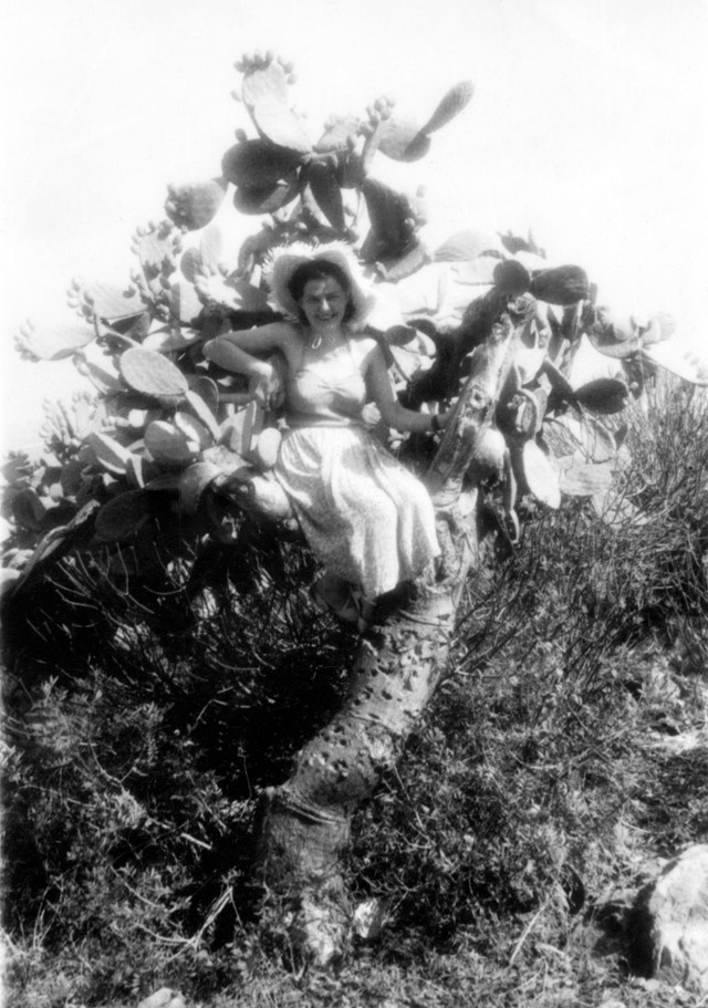 Frau Auf Baum, Kaktus 1953