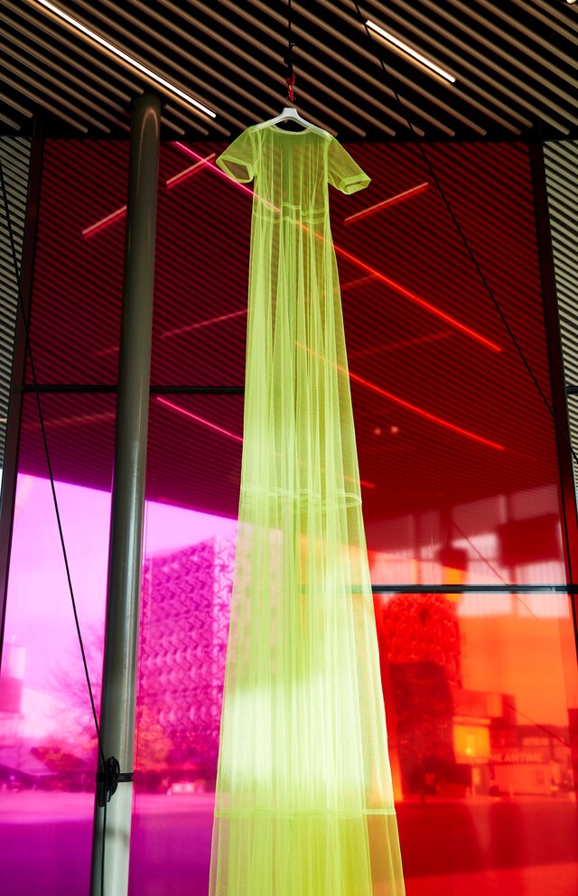 What I Like by Molly Goddard