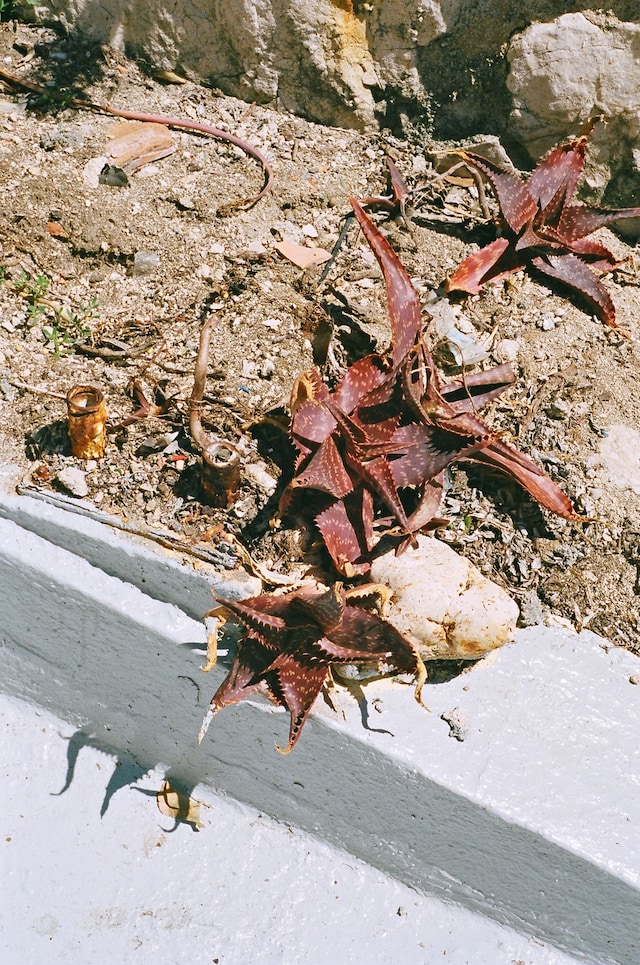 MARSEILLE JE T&#39;AIME 1