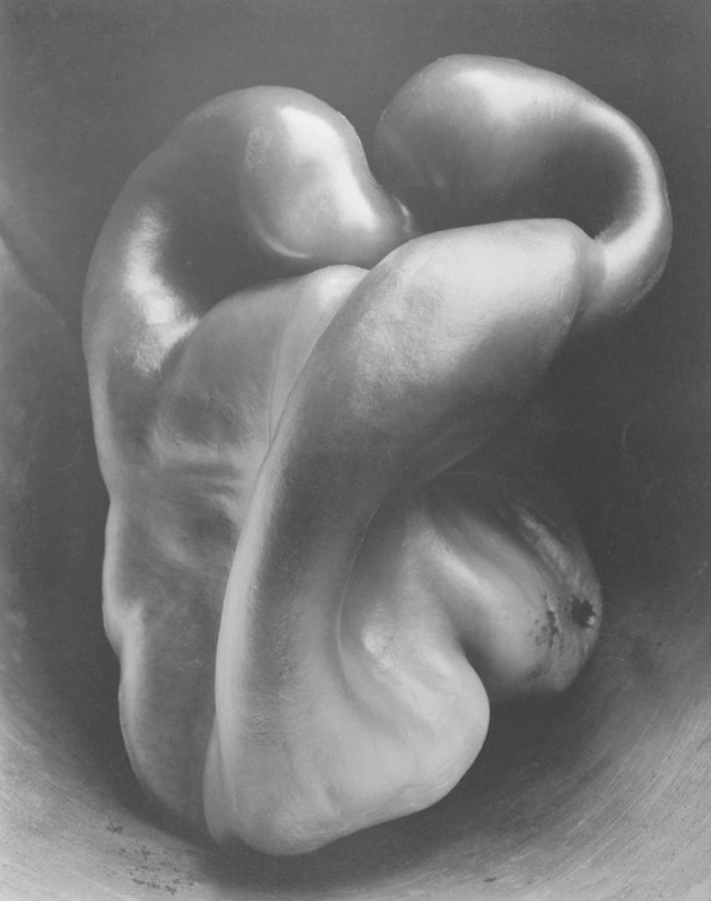 Photography by Edward Weston
