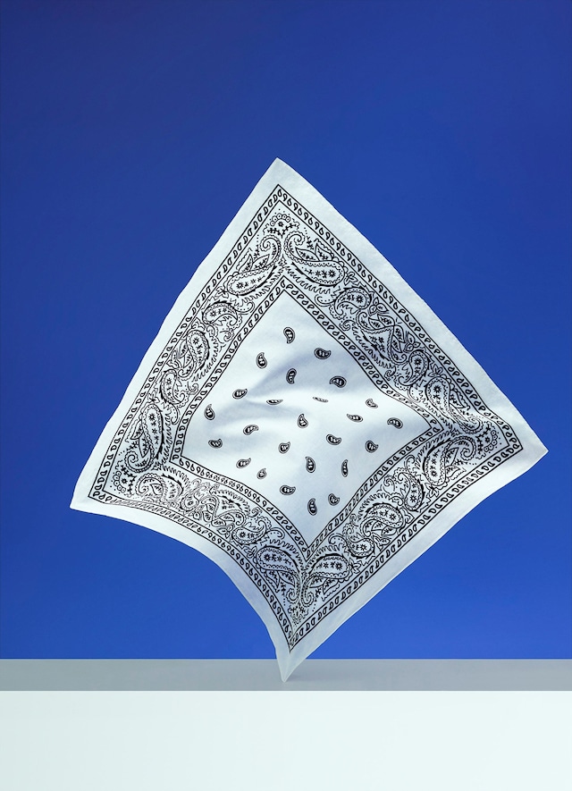 170314_MoMA_Bandana_115_2_F2