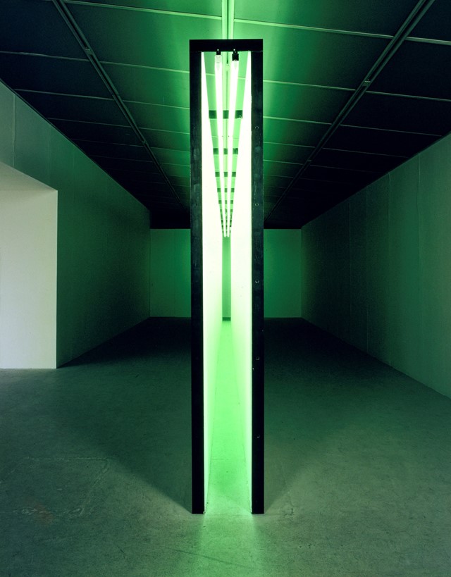 Bruce Nauman. Green Light Corridor, Solomon, 1970