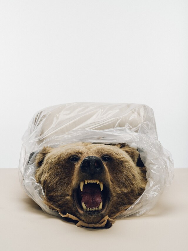 2033_835950_0_-©-Tristan-Spinski,-United-States,-2