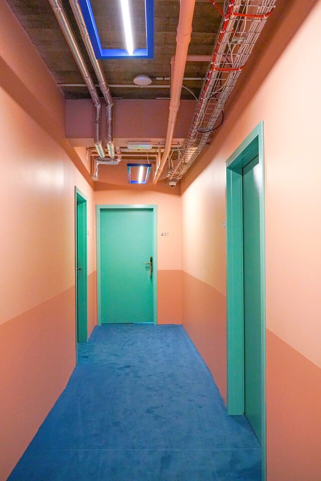 15_lowresDSC06053336