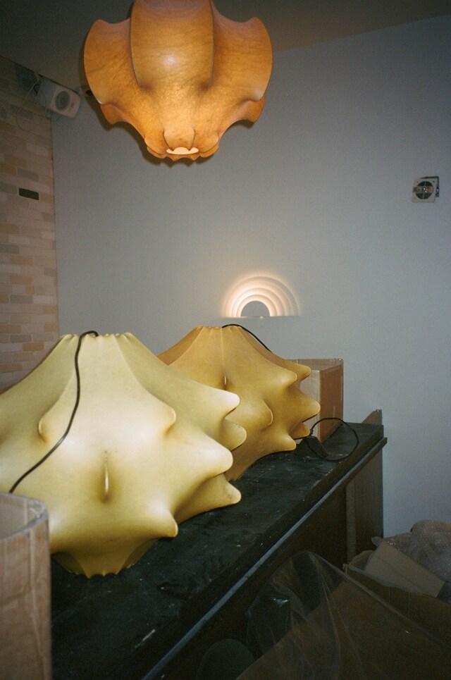 camilla_deterre_primos_26860009