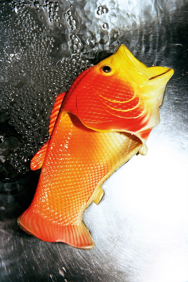 Foot Fetish Chloe Grace Press Chris Rhodes Shoes Goldfish