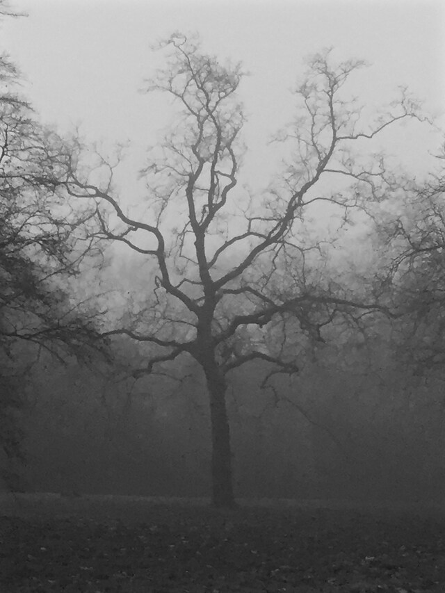 Dress Portrait: Molly Goddard and Sarah Edwards