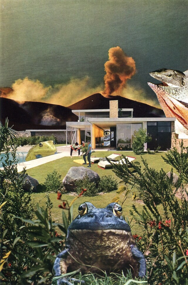 Frog Palace 2019