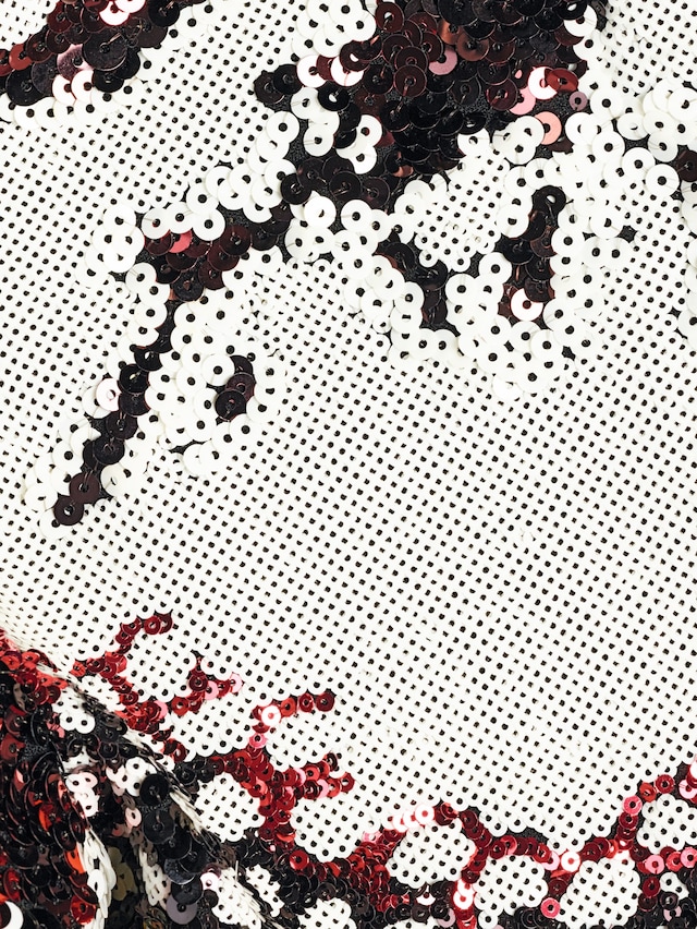 Christian Marclay Celine collaborations Hedi Slimane fashion